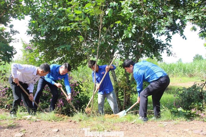 Các đại biểu trồng cây xanh cảnh quan tại các tuyến đường.