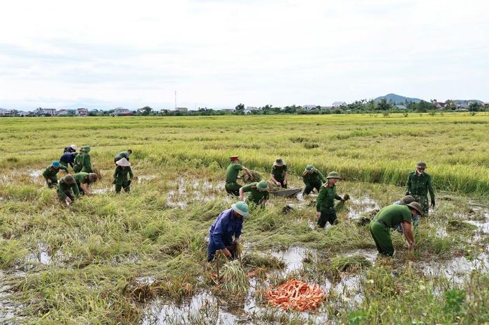 Đoàn thanh niên Công an xã Xuân Lộc khẩn trương thu hoạch cùng người dân. Việc hỗ trợ kịp thời giúp các hộ dân tranh thủ thu hoạch những diện tích lúa đã đến kỳ, không phải chờ nước rút trong điều kiện thời tiết còn diễn biến phức tạp.