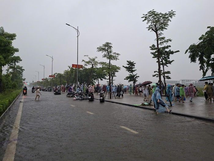 Người dân Hải Phòng "đội mưa" bắt cá ở khu đô thị mới Bắc sông Cấm