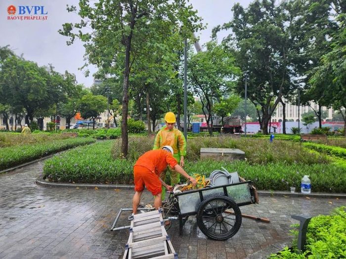 Lực lượng chức năng có mặt tại hiện trường để lên phương án xử lý các cây bị đổ.