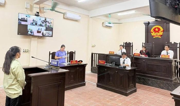 Phiên tòa được xét xử công khai kết hợp rút kinh nghiệm trực tuyến.