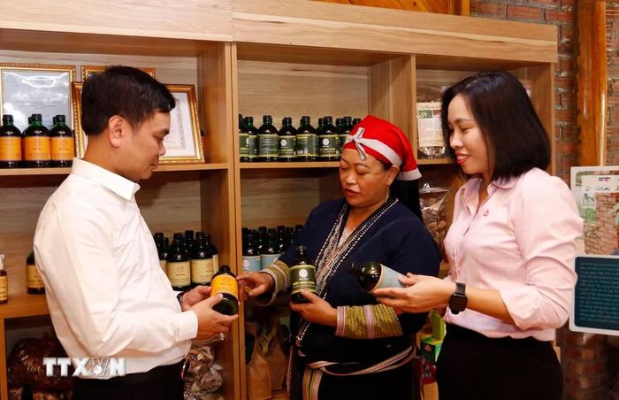 Các sản phẩm được công nhận đạt tiêu chuẩn OCOP của tỉnh Lào Cai được bán rộng rãi. (Ảnh: Quốc Khánh/ TTXVN)