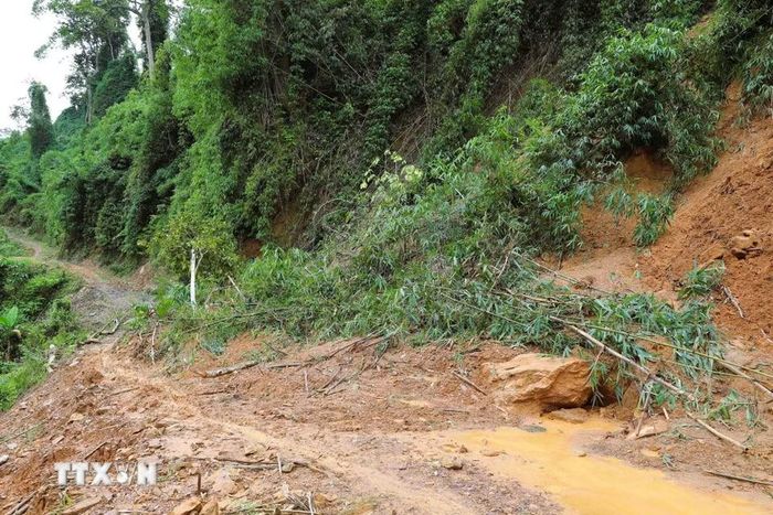 Đất đá, cây rừng tràn xuống mặt đường tại điểm sạt lở ở dốc Co Phắc Pặp khiến giao thông bị chia cắt. (Ảnh: Xuân Tiến/TTXVN)