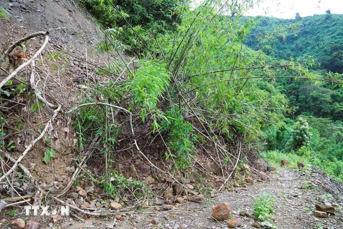 Đất đá và cây rừng sạt lở, đổ xuống chiếm hết diện tích mặt đường khiến giao thông đi lại rất khó khăn. (Ảnh: Xuân Tiến/TTXVN)