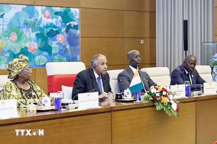 Chủ tịch Quốc hội Côte d’Ivoire Patrick Achi phát biểu tại hội đàm. (Ảnh: Doãn Tấn/TTXVN)