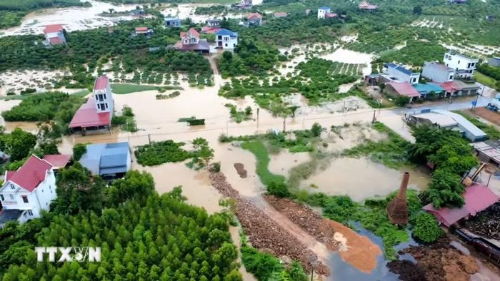Nước lũ dâng cao, bao phủ nhiều diện tích cây trồng tại Bắc Ninh. (Ảnh: TTXVN phát)
