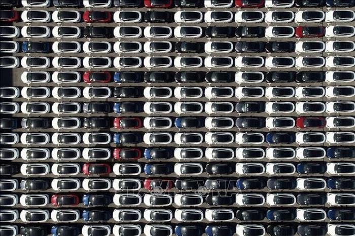 Xe ô tô nhập khẩu trong đó có xe ô tô điện Tesla tại Cảng Đài Bắc, Đài Loan, Trung Quốc. Ảnh: AFP/TTXVN