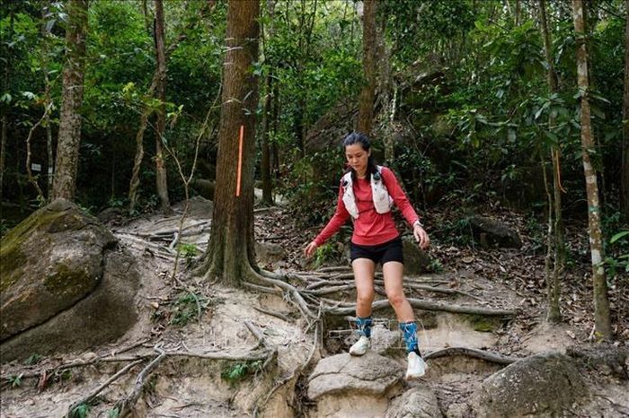 Du khách trải nghiệm hành trình trekking xuyên rừng tại Núi Dinh, chinh phục những cung đường giữa không gian xanh mát của núi rừng. Ảnh minh họa: Hoàng Nhị/TTXVN