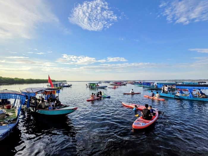 Hoạt động chèo SUP trên phá Tam Giang an toàn nhờ mực nước thấp (khoảng 80cm).