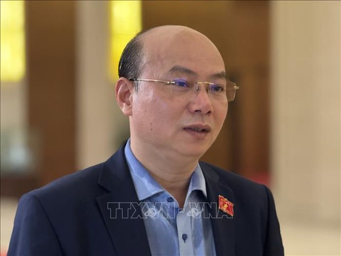 Đại biểu Hoàng Văn Nghĩa (Quảng Ngãi) trả lời phỏng vấn.