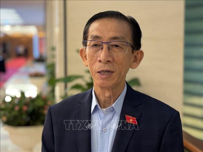 Đại biểu Trần Hoàng Ngân (Thành phố Hồ Chí Minh) trả lời phỏng vấn.