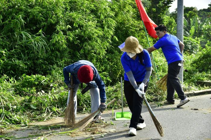 Các đoàn viên thanh niên phát quang cây cỏ, thu gom rác thải.