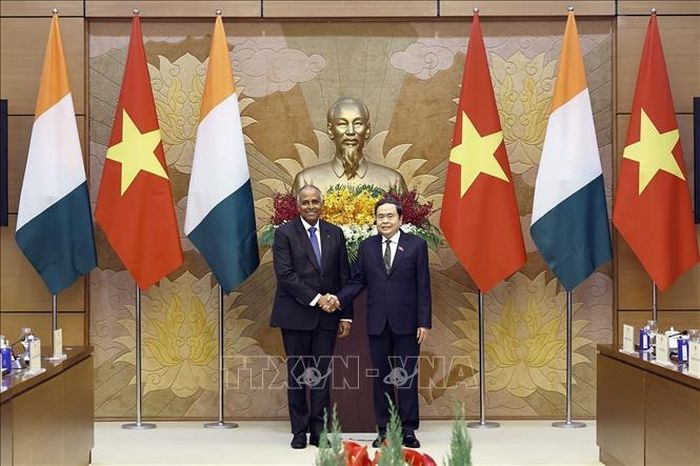 Chủ tịch Quốc hội Trần Thanh Mẫn đón Chủ tịch Quốc hội Cộng hòa Côte d’Ivoire Patrick Achi thăm chính thức Việt Nam. Ảnh: Doãn Tấn/TTXVN