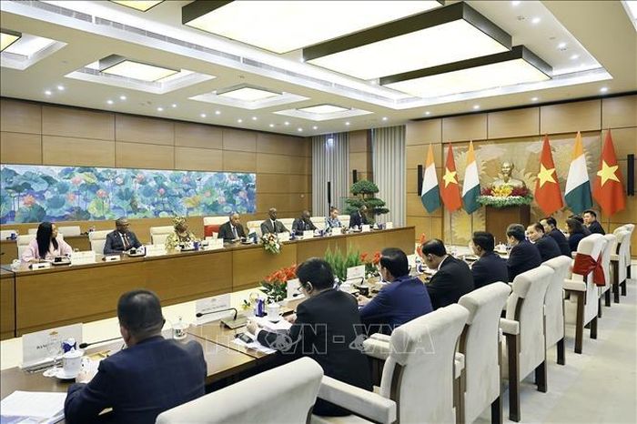 Chủ tịch Quốc hội Trần Thanh Mẫn hội đàm với Chủ tịch Quốc hội Côte d’Ivoire Patrick Achi. Ảnh: Doãn Tấn/TTXVN