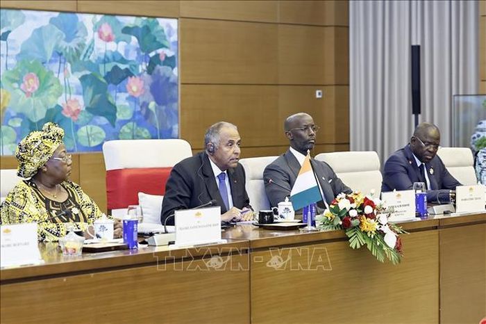 Chủ tịch Quốc hội Côte d’Ivoire Patrick Achi phát biểu tại hội đàm. Ảnh: Doãn Tấn/TTXVN