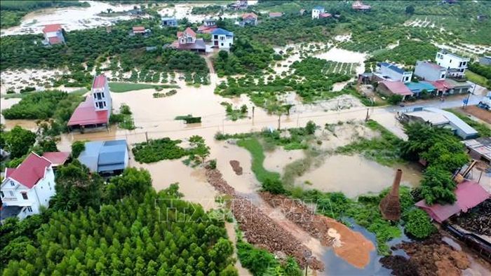 Nước lũ dâng cao, bao phủ nhiều diện tích cây trồng. Ảnh: TTXVN phát
