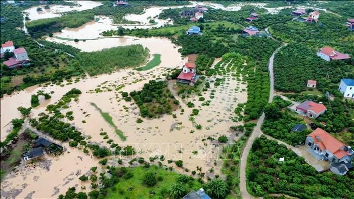 Nước lũ dâng cao, bao phủ nhiều diện tích cây trồng. Ảnh: TTXVN phát