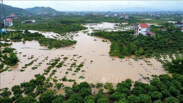 Nước lũ dâng cao, nhiều diện tích cây trồng bị ngập trắng. Ảnh: TTXVN phát