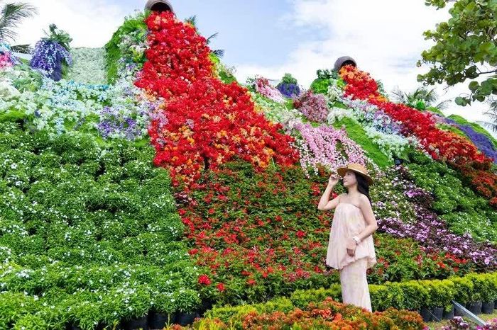 Suối hoa.