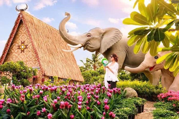 Không gian hoa hài hoà với các tiểu cảnh mang dấu ấn Tây Nguyên đẹp mắt.