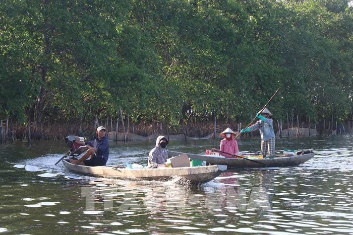Người dân Ngư Mỹ Thạnh nhiều đời sinh sống chủ yếu bằng nghề đánh bắt cá, tôm trên Phá Tam Giang. Ảnh: Mai Trang - TTXVN