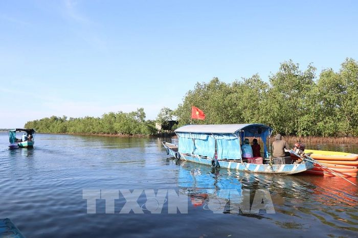 Những năm gần đây, Ngư Mỹ Thạnh được biết đến nhiều hơn với vai trò là điểm du lịch cộng đồng, sinh thái gắn với hệ thống rừng ngập mặn trên Phá Tam Giang. Ảnh: Mai Trang - TTXVN
