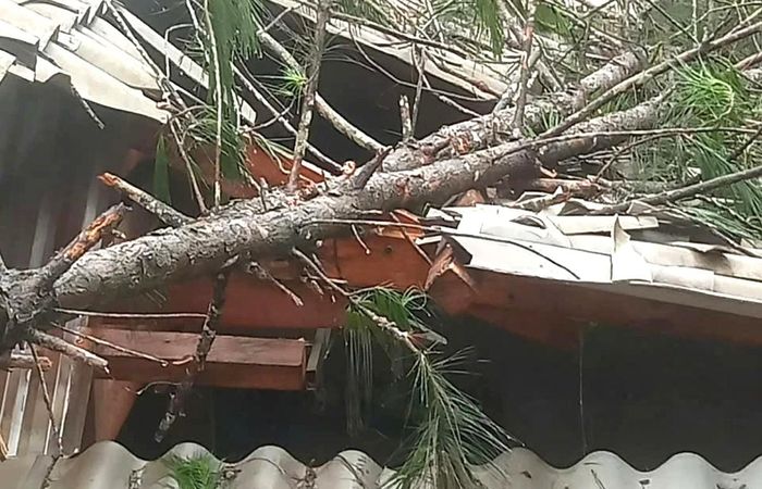 Cành cây đổ gây hư hỏng mái nhà người dân tại xã Hà Quảng. Ảnh: BCB