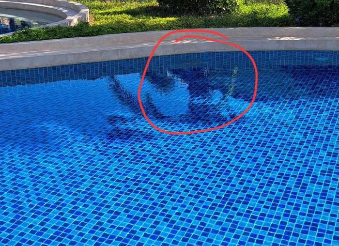 Vị trí nơi bé Yukiji gặp nạn trong hồ bơi Khu du lịch Centara Mirage Resort Mũi Né. Ảnh: Gia đình cung cấp