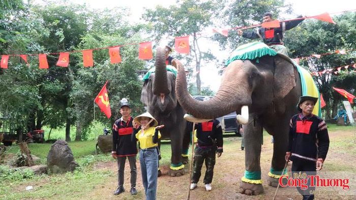 Hai chú voi mang theo những giỏ sầu riêng tạo điểm nhấn thu hút sự quan tâm của khán giả.