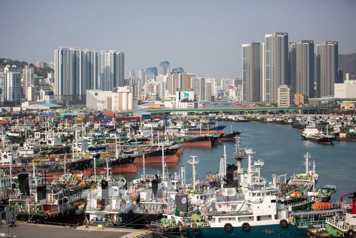 Quang cảnh cảng Busan, Hàn Quốc. Ảnh: Reuters.