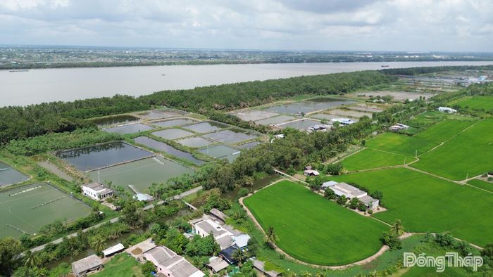 Dự báo mặn sẽ ảnh hưởng đến sản xuất nông nghiệp khu vực phía Đông và vùng cây ăn trái khu vực dọc sông Tiền.