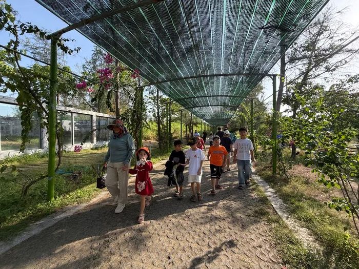 FLC Zoo Safari Quy Nhơn là nơi để trẻ có thể hòa mình cùng thiên nhiên, tìm hiểu thế giới động vật đa dạng, đa sắc màu. Ảnh: Phương Vi