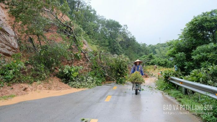 Tuyến đường DT 235B tại xã Công Sơn bị sạt lở khiến giao thông tê liệt