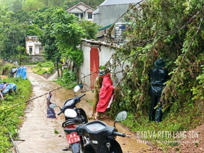 Lực lượng chức năng trên địa bàn xã xử lý cây đổ do bão số 4