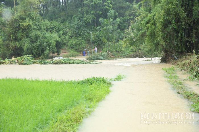 Mưa lũ gây ngập úng, chia cắt một số khu vực dân cư tại xã Lộc Bình