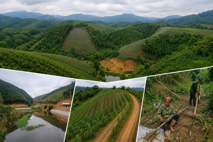 Khu Nậm Sưu - Nậm Sò có tiềm năng phát triển kinh tế lâm, nông nghiệp.
