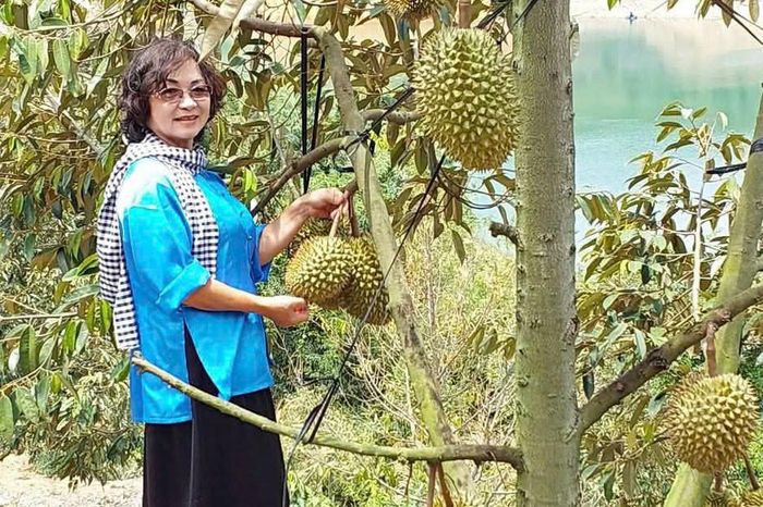 Bà Đặng Thị Kim Oanh bên vườn sầu riêng trĩu quả sát lòng hồ, nơi đang được định hướng phát triển thành điểm đến du lịch sinh thái nhà vườn tại xã La Dạ