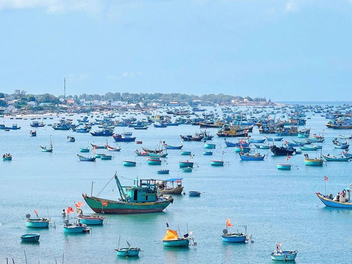 Tổ công tác có nhiệm vụ giám sát một số vấn đề về an toàn thực phẩm, an ninh trật tự, cải thiện môi trường du lịch