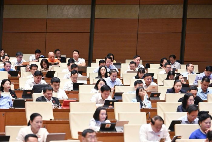 Các đại biểu tham dự