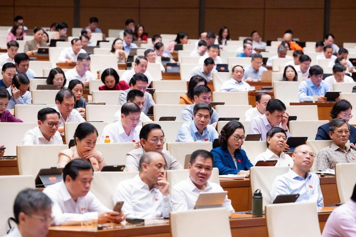 Các đại biểu tham dự