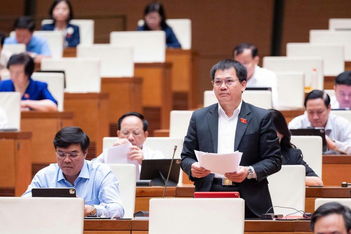 Đại biểu Dương Khắc Mai, Phó Trưởng Đoàn ĐBQH tỉnh Lâm Đồng phát biểu tại phiên họp