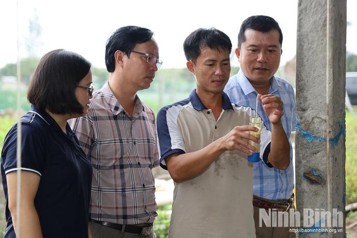 Chủ động kiểm soát độ mặn giúp người nuôi kịp thời điều chỉnh môi trường nước trong bể.