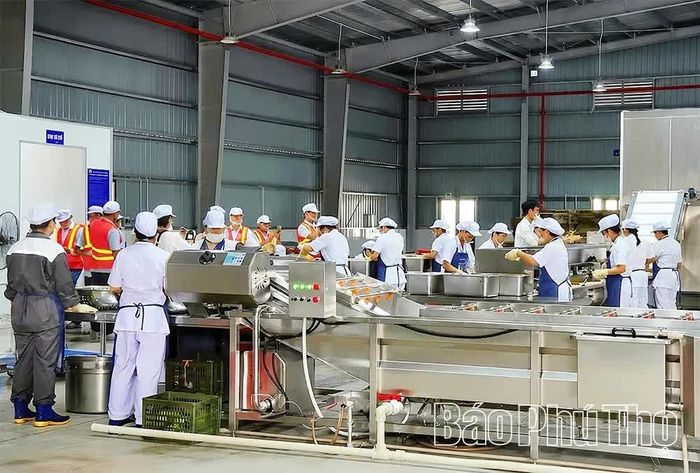 Dây chuyền đóng gói và cấp đông sản phẩm xoài xuất khẩu tại Công ty TNHH Đầu tư Thương mại Tiến Ngân (phường Hoà Bình).
