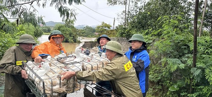 Tại phường Tiền Phong, trước tình trạng mực nước sông Thương tiếp tục dâng, công an phường đã tăng cường lực lượng tuần tra, kiểm soát trên tuyến đê sông Thương, thường xuyên cập nhật tình hình, chủ động phát hiện những vị trí có nguy cơ mất an toàn để kịp thời tham mưu, xử lý.