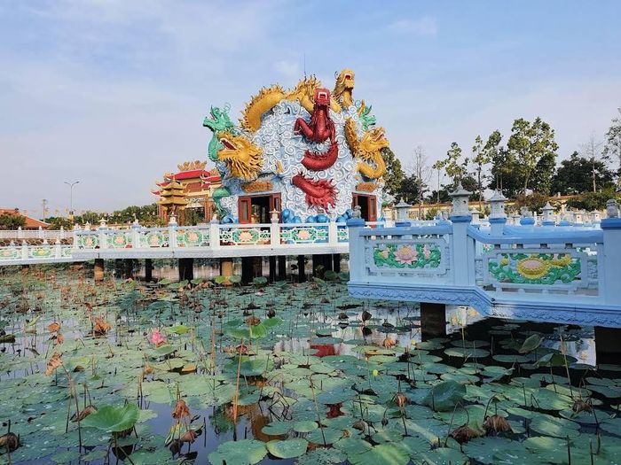 Cụm tượng Cửu Long giữa hồ nước, tạo điểm nhấn đặc sắc trong cảnh quan chùa Huỳnh Đạo. Ảnh: Tường Quang