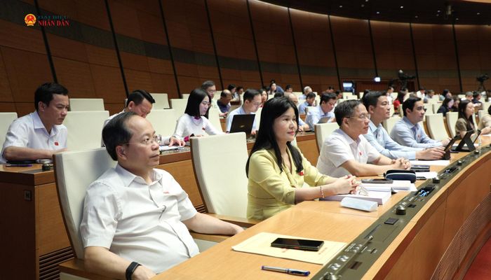 Các đại biểu dự phiên thảo luận tại hội trường về định hướng sửa đổi Luật Đất đai. Ảnh: Khánh Duy