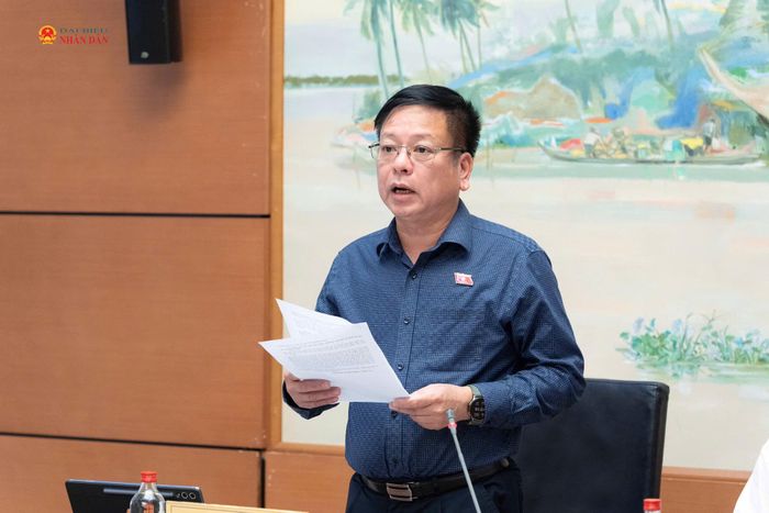 Phó Chủ nhiệm Ủy ban Pháp luật và Tư pháp Nguyễn Trường Giang phát biểu tại phiên họp
