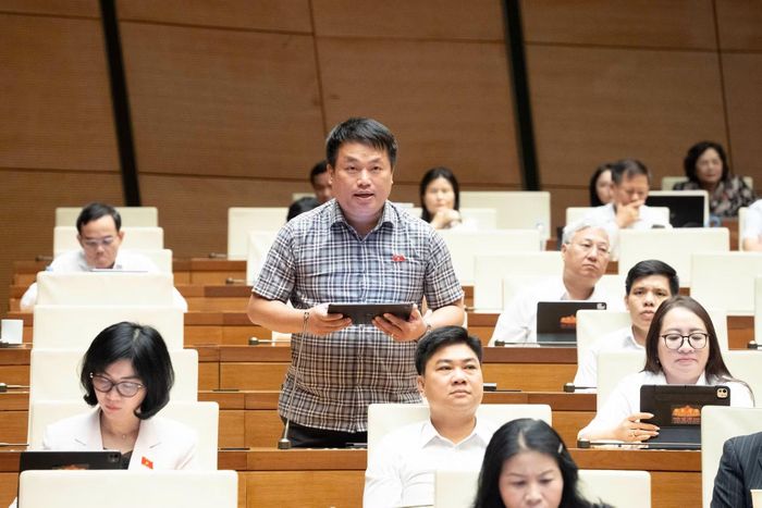Đại biểu Đặng Ngọc Huy (Đoàn ĐBQH tỉnh Quảng Ngãi) phát biểu tại phiên họp.