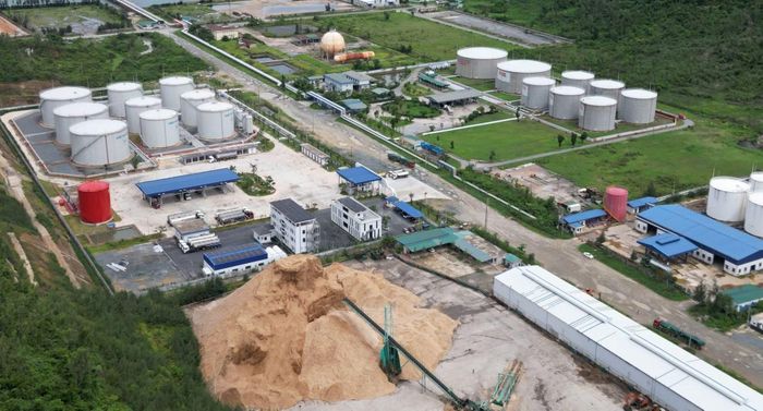 Toàn cảnh bãi tập kết băm dăm gỗ