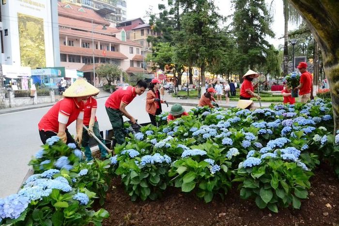 Chung tay vì Sa Pa xanh - sạch - đẹp. Ảnh: Quốc Hồng